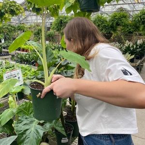 Meet your Posher, Daniella